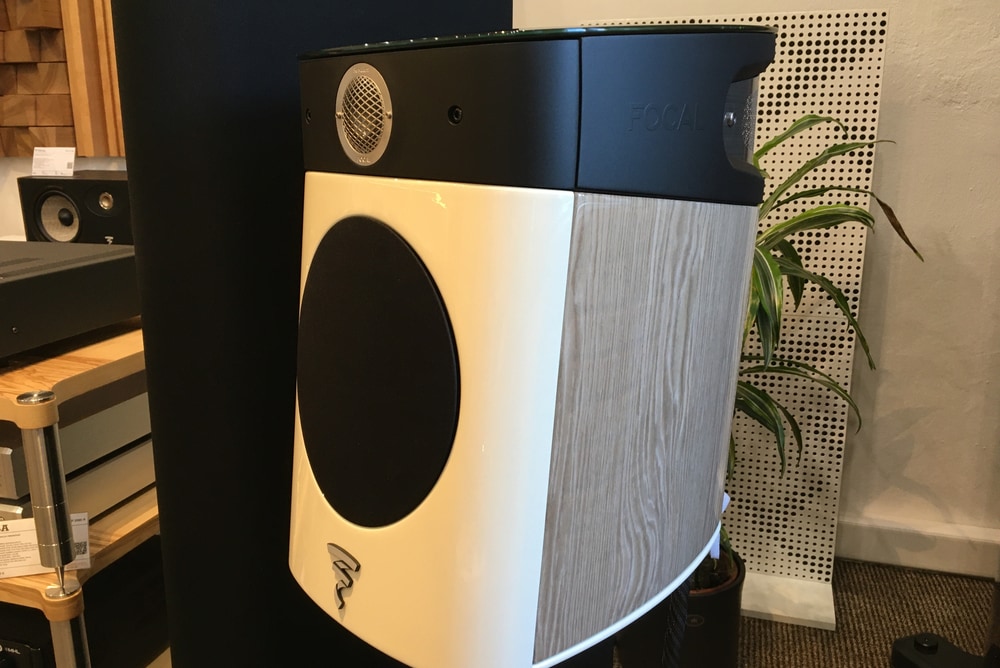 clanok focal sopra n1 svetly dub 2